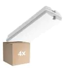 Multipack 4x LED Bulkhead White 3W 280lm - 830 Warm White | IP66
